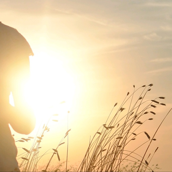 Meet your Posher, Elena - Picture 1 of 1